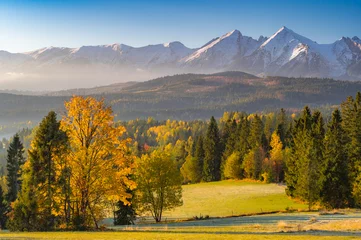 Photo sur Plexiglas Tatras Moutain landscape, Tatra mountains panorama, colorful autumn view from Lapszanka pass, Poland and Slovakia