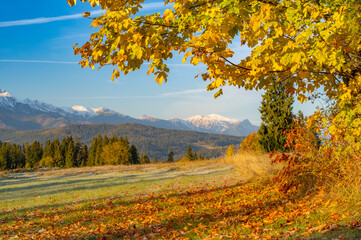 Fototapeta premium Moutain landscape, Tatra mountains panorama, colorful autumn view from Lapszanka pass, Poland and Slovakia
