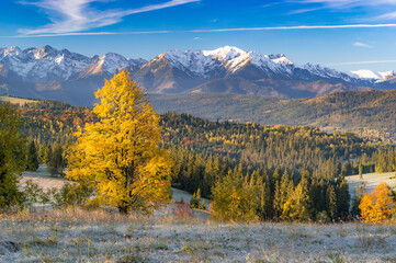 Moutain landscape, Tatra mountains panorama, colorful autumn view from Lapszanka pass, Poland and Slovakia © tomeyk