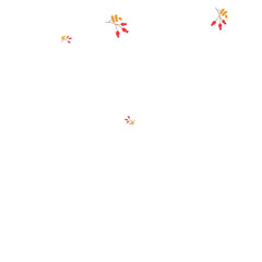 Burgundy Foliage Background White Vector. Leaf Image Texture. Red Herb Elm. Seamless Card. Berries November.