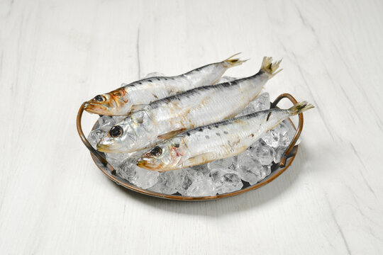 Fresh iwashi herring fish on a plate with ice
