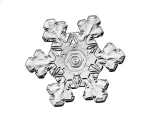 Black snowflake isolated on white background. Illustration based on macro photo of real snow crystal: elegant star plate with short, broad arms, glossy relief surface and complex inner details.