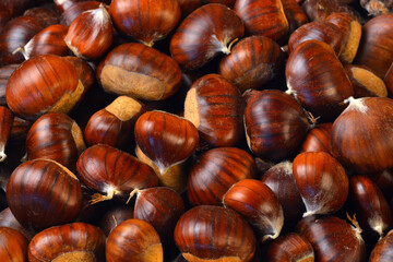 Texture of Chestnutsin flat lay angle