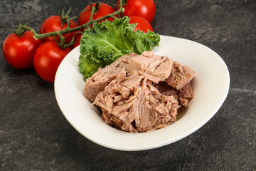 Canned tuna fillet in the bowl