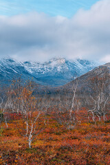 Naklejka premium Autumn arctic landscape. View of the misty snow-capped mountains and autumn colorful tundra in the Arctic,Kola Peninsula. Mountain hikes and adventures. Austere, cold atmosphere. 
