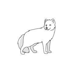 vector white arctic fox wild nature fur animal predator on the north polar wildlife