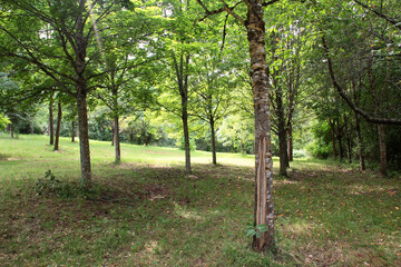 Grünes Labor Coburg