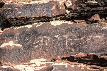 Petroglyphs on the rocks in Kazakhstan. The ancient parking cave man. Historical cave paintings. Carved on stone images of deer, goats and wolves. The development of ancient peoples.