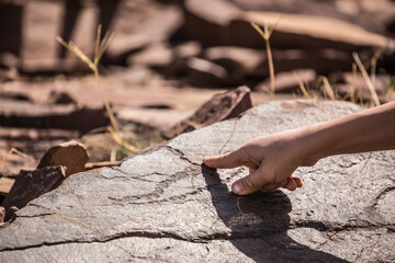 Petroglyphs on the rocks in Kazakhstan. The ancient parking cave man. Historical cave paintings. Carved on stone images of deer, goats and wolves. The development of ancient peoples.