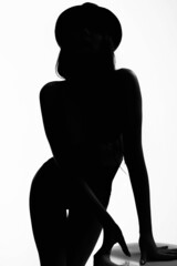 Female silhouette. Young Sexy Woman Body