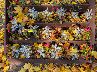 A red wooden flower bed box with yellow and orange autumn leaves.