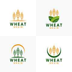 Set of Agriculture wheat vector icon design