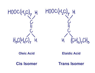 Cis and Trans isomerism. Oleic acid with Elaidic Acid chemical structure. Vector illustration Hand drawn.