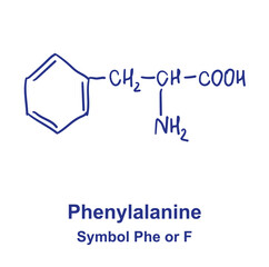 Phenylalanine chemical structure. Vector illustration Hand drawn.