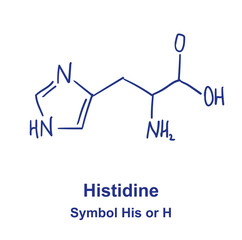 Histidine chemical structure. Vector illustration Hand drawn