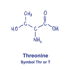 Threonine chemical structure. Vector illustration Hand drawn