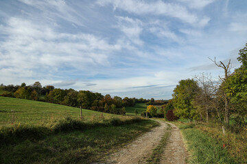 Fototapeta na wymiar Autumn landscape with green meadows and fields