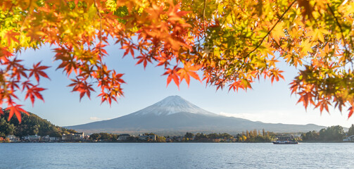 Naklejka premium Mount Fuji and Lake kawaguchiko in autumn. It is a popular tourist destination.