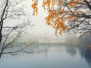Foggy autumn foggy landscape with leafless trees and old Palace. Gatchina. Russia.