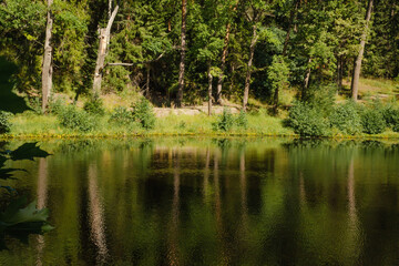 Fototapeta premium Forest lake with calm water, reflection of trees