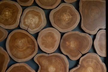 Wood background texture, abstract, nature background