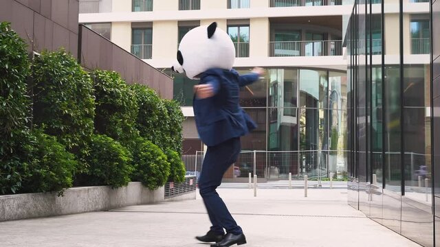 Storytelling video of a businessman wearing a giant panda mask. 