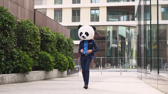 Storytelling video of a businessman wearing a giant panda mask. 