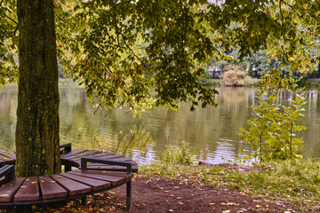 Fototapeta na wymiar Wooden bench around hornbeam trunk with lush green and yellow foliage, lake
