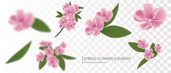 Flying petals and spring flowers..transparent background