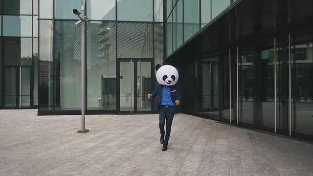 Storytelling video of a businessman wearing a giant panda mask. 