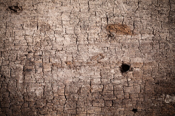 Texture old wood background.