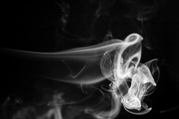 White  smoke motion on black background.