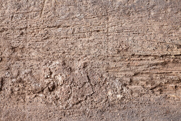 Texture old wood background.