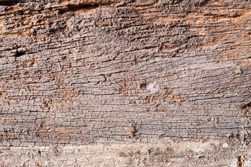 Texture old wood background.