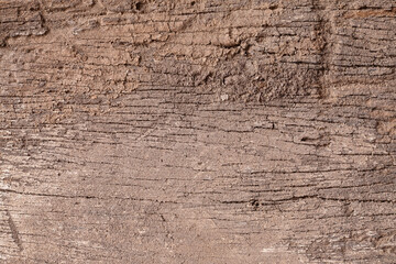 Texture old wood background.