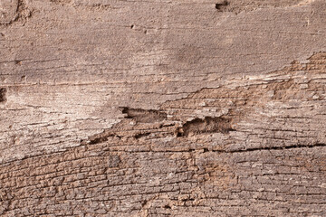 Texture old wood background.