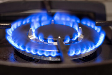 The blue flame of natural gas in the dark. A burning gas burner in the kitchen stove.