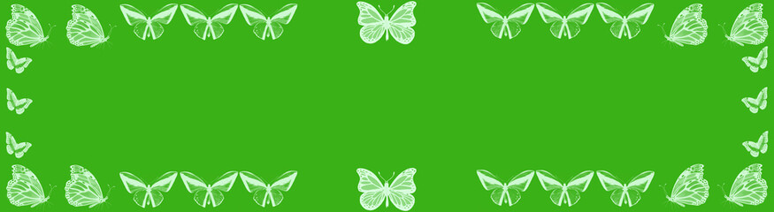 Zielone tło z motylami © Hanna