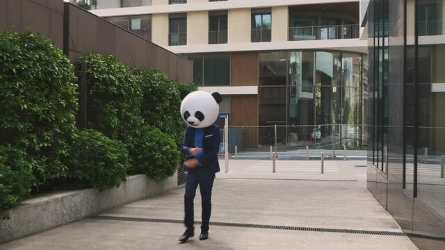 Storytelling video of a businessman wearing a giant panda mask. 