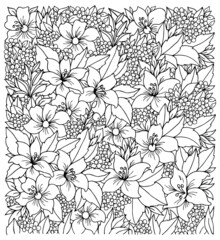 Illustration. Lily flowers with daisies. Coloring book. Antistress for adults and children. The work was done in manual mode. Black and white.