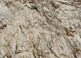 the surface of the cliff