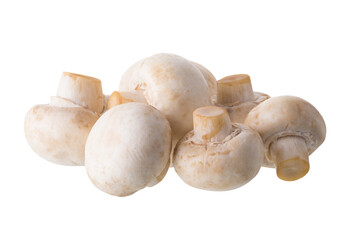 White champignon mushrooms, Champignon Isolated on White Background