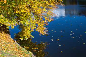 Autumn on the Lower Lake of Kaliningrad