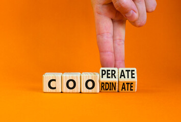 Coordinate and cooperate symbol. Businessman turns wooden cubes and changes the word 'cooperate' to 'coordinate'. Beautiful orange background. Coordinate, cooperate and business concept. Copy space.