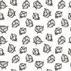 Fototapeta na wymiar Hand drawing seamless pattern with cotton in monochrome sketch engraved style isolated on white background. Design for branding textile or market cover, banner, cloth. Botanical vector illustration.