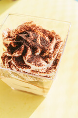 Homemade tiramisu cake, italian dessert.