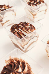 Homemade tiramisu cake, italian dessert.