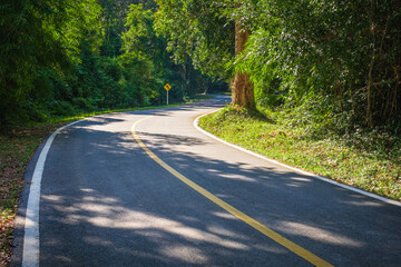 Obraz premium Small curve road through the tropical forest in sunlight