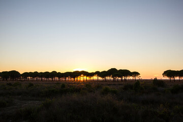Obraz premium beautiful sunset on a beach Rinia, close to durres, Albania