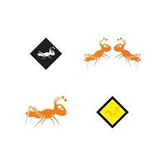 Ant vector illustration design